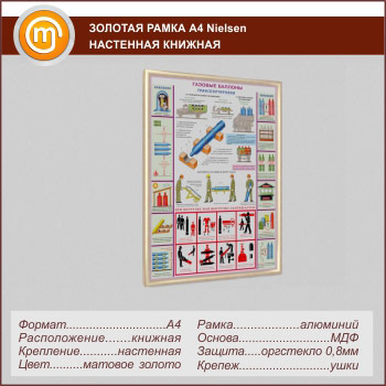 �������� ��������� ����� �Nielsen� �4 �������, �������, ������� ������