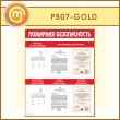 ����� ��������� ������������� � 6 ��������� (PB-07-GOLD)